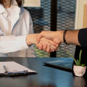 litigation lawyer, litigation lawyer in egypt