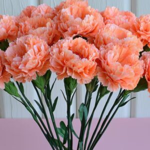 bulk carnations