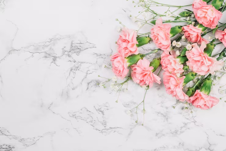 bulk carnations